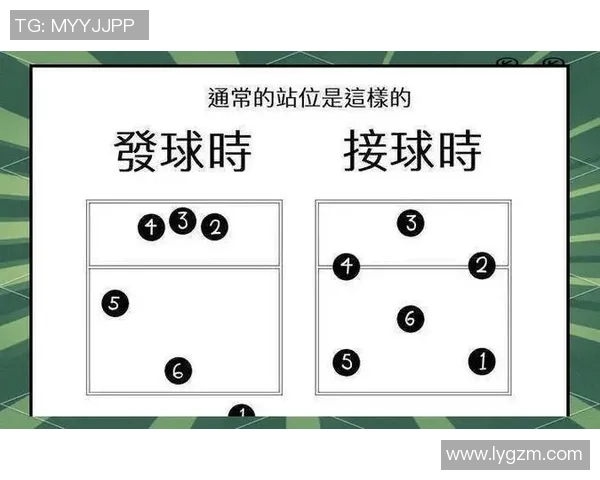 深圳排球队的排球战术解析与转换体系的深度剖析